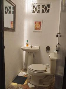 a bathroom with a toilet and a sink at La Casita de Don Daniel in Valle de Anton