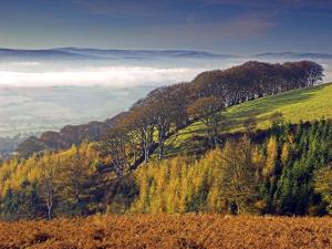 a view of a hill with trees on it at The Hood Arms in Kilve