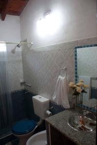 La salle de bains est pourvue de toilettes, d'un lavabo et d'un miroir. dans l'établissement Cabañas Luz de Luna, Comuna San Roque-Punilla, à Córdoba