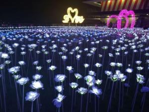 un grand groupe de fleurs blanches devant une scène dans l'établissement RUMAHCOZY Homestay i-City Shah Alam, à Shah Alam