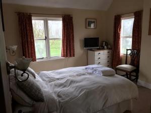 a bedroom with a bed and a dresser and two windows at The Carew Arms in Taunton