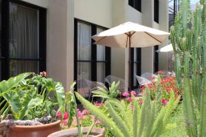 Gallery image of Holiday Suites in Tacna
