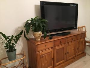 TV a/nebo společenská místnost v ubytování Yksiö Järvimaisemalla