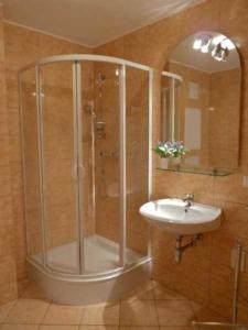 a bathroom with a shower and a sink at Ferienwohnung Heiden _ 100m bis zu in Ostseebad Karlshagen