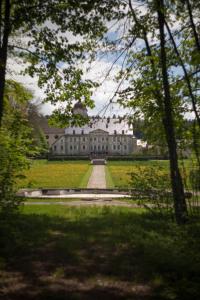 una casa grande en medio de un parque con árboles en CHATEAU MONTALEMBERT Maîche, en Maîche