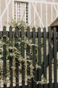 Une clôture noire avec une plante qui y pousse dans l'établissement La Dime de Giverny - Cottages, à Giverny 18 autres photos