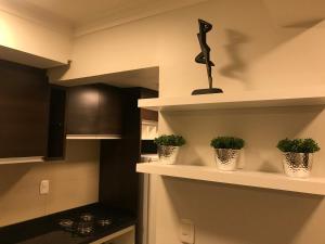 uma cozinha com três vasos de plantas nas prateleiras em Apartamento Baviera em Canela