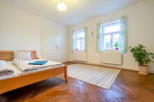 1 dormitorio con 1 cama, 2 ventanas y alfombra en Čejkovický domek, en Čejkovice