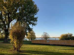 a tree in a field with a fence and a lake at Swedish Village Hotel in Timashevsk