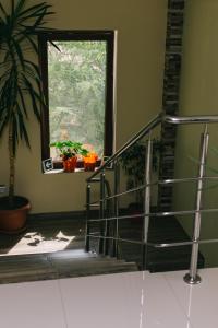 a staircase in a house with a window and a plant at La Tusi Lovrin in Lovrin