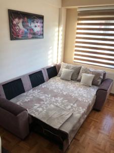 a couch sitting in a living room with at Mirkovic Lux apartman in Niš +12 photos
