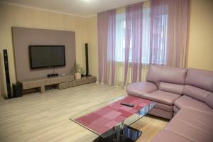een woonkamer met een paarse bank en een tv bij Квартира Люкс in Vinnytsya