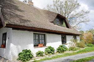 ein Cottage mit einem Strohdach und einigen Pflanzen in der Unterkunft Ferienhaus und -wohnung unterm Reetdach in Woorke in Hof Patzig