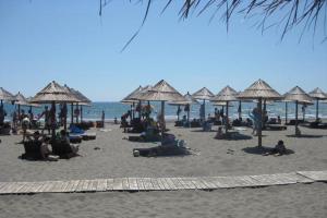 Naturlandskabet i nærheden af lejligheden