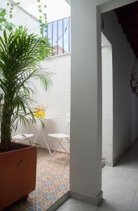 a courtyard with a potted plant in a building at Apartamento remodelado en el mejor lugar del centro de Medellín. Home Aris 402 in Medellín