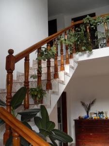 Φωτογραφία από το άλμπουμ του Nopti de Vara Transfăgărășan σε Căpăţîneni-Pămînteni