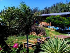 a garden with a bench and a palm tree at Hopi Cadushi Apartment in Santa Cruz