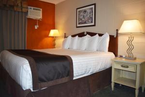 Hope Inn and Suites في هوب: غرفة فندقية بسرير وطاولة مع مصباح