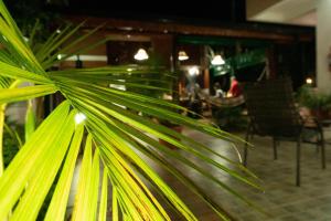 um close-up de uma palmeira em um restaurante em Managua Apart Hotel em Puerto Iguazú