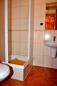 a bathroom with a shower and a toilet and a sink at Babiarzowie in Białka Tatrzańska