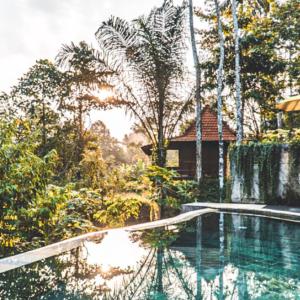 - une piscine en face d'une maison arborée dans l'établissement The Jungle Villa Family, à Ubud