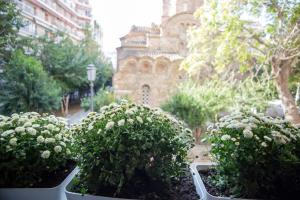 Vonkajšia záhrada v ubytovaní Thessaloniki Center Small Studio Apartment