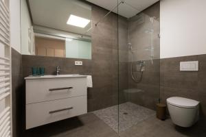 a bathroom with a shower and a toilet and a sink at Boardinghouse E68 in Schliengen +117 photos