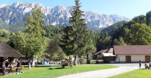 Příroda nedaleko ubytování v soukromí