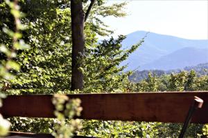 Afbeelding uit fotogalerij van Babiččin Vejminek in Čeladná