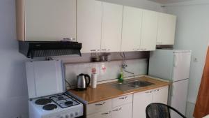 Kuchyň nebo kuchyňský kout v ubytování Apartments Zovko