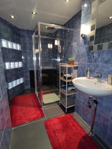een badkamer met een douche, een wastafel en een douche bij Jordaan Canal View Apartment in Amsterdam