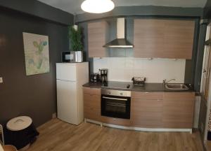 a small kitchen with a refrigerator and a sink at Cactus Apartment in Torremolinos
