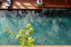 Blick auf einen Pool mit einer Pflanze in der Unterkunft Phor Liang Meun Terracotta Arts in Chiang Mai
