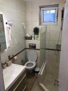 ein kleines Bad mit WC und Waschbecken in der Unterkunft Downtown Apartment in Suceava