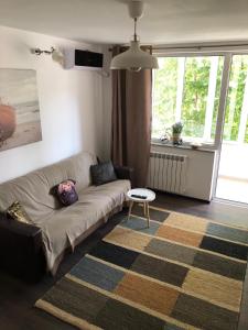 ein Wohnzimmer mit einem Sofa und einem Tisch in der Unterkunft Downtown Apartment in Suceava