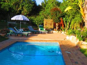 a swimming pool in a yard with chairs and an umbrella at Footprints of Knysna in Knysna