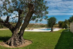 a large tree in the middle of a grassy area at Relais Terre di Romanello in Noto