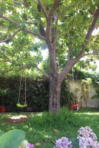 Gallery image of VILLA LEA in Mondello +14 photos