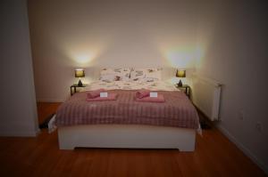 a bedroom with a large bed with two lamps at Studio D&T in Slavonski Brod