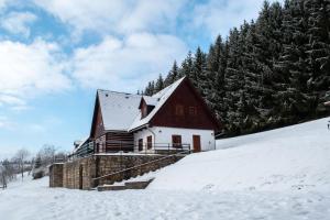 Holiday Villa Stupna v zime