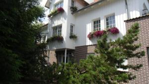 a white house with flower boxes on the windows at Landhotel-Restaurant Schwalbennest in Zierenberg