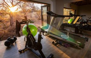a gym with two exercise bikes and a treadmill at Pondoro Game Lodge in Balule Game Reserve