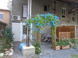Une arche avec des fleurs bleues dans une cour dans l'établissement 34 Rue de la Coucouroune Gîte de la Coucouroune, à Soual