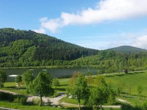 a lake in the middle of a field with trees at Ferienwohnung Hilleseeblick in Winterberg