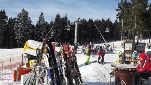 a group of people on a ski lift with skis at Ferienwohnung Hilleseeblick in Winterberg