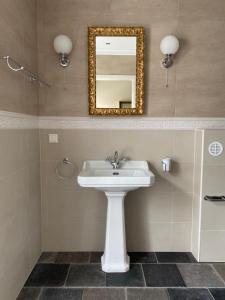 een badkamer met een witte wastafel en een spiegel bij Alte Seifensiederei zu Pulkau Ferienwohnung in Pulkau