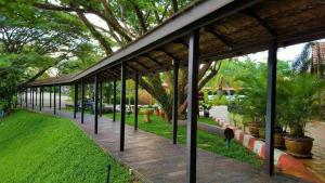 A garden outside Kong Garden View Resort Chiang Rai