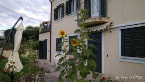 Fotografie z fotogalerie ubytování Alle rose barcolane v Terstu