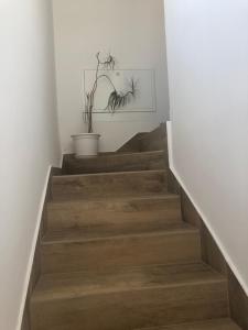 Fotografie z fotogalerie ubytování Apartman Gabriel Zadar v destinaci Zadar