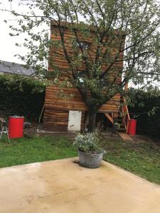 ein kleiner Baum in einem Topf neben einem Gebäude in der Unterkunft Cabane du hérisson in La Capelle-en-Thiérache